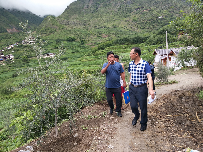 1531730362131806.jpg 走访路上.jpg