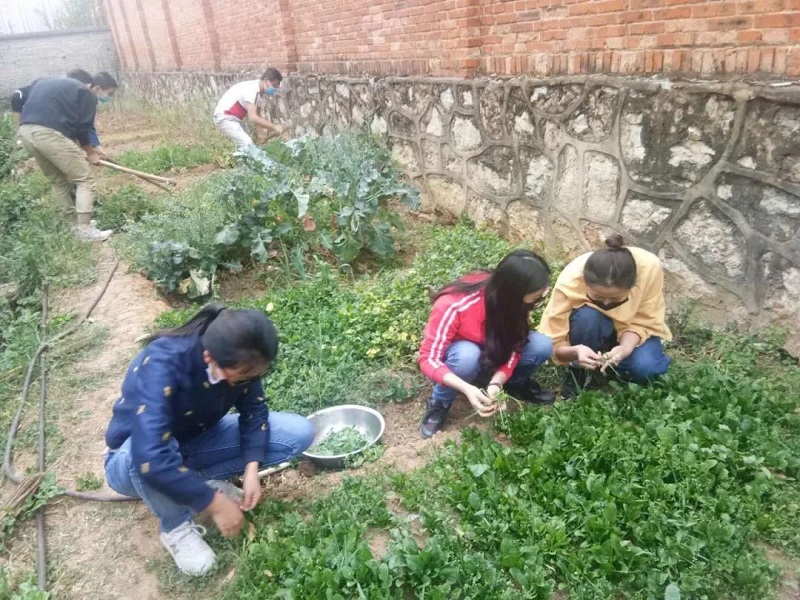 1584931849122640.jpg 1.jpg